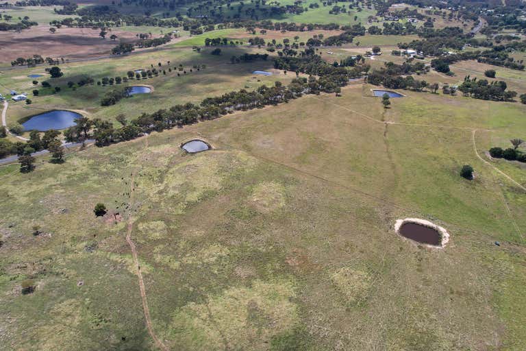 161 RED HILL ROAD Bowning NSW 2582 - Image 4