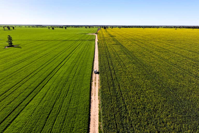 Terlings and Dundenoon, Newell Highway Moree NSW 2400 - Image 3