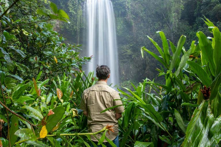Cairns City QLD 4870 - Image 3
