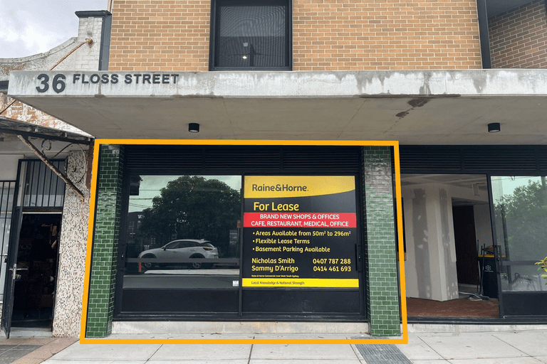 36 Floss Street Hurlstone Park NSW 2193 - Image 1