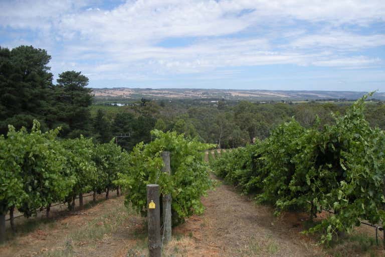 2 Beltunga Close McLaren Vale SA 5171 - Image 2