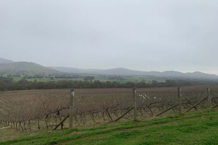 Nowhere Creeek Vineyard, 0 Pyrenees Highway Elmhurst VIC 3469 - Image 2