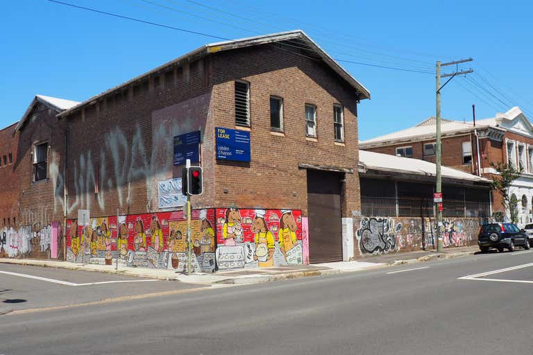 Area 1, 483 Balmain Road Lilyfield NSW 2040 - Image 1
