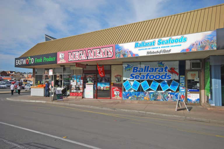 5 Eastwood Street Ballarat Central VIC 3350 - Image 4