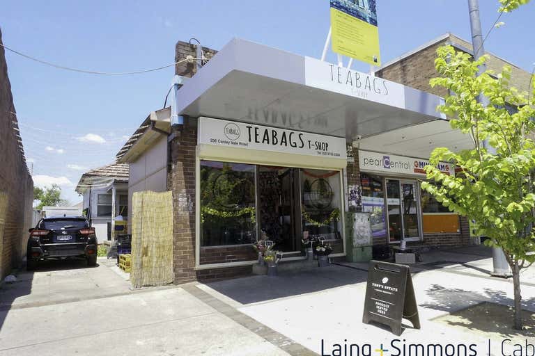 256 Canley Vale Road Canley Heights NSW 2166 - Image 1