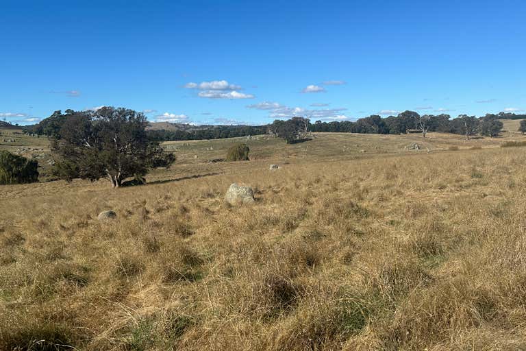 Old Biala Biala Road, Gunning, NSW 2581 Commercial Farming & Rural