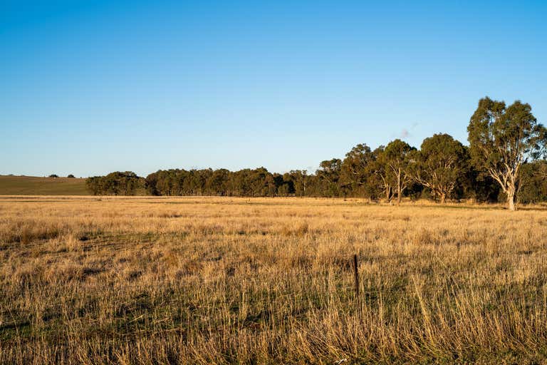 Lot 304 Elizabeth Mitchell Drive Thurgoona NSW 2640 - Image 4