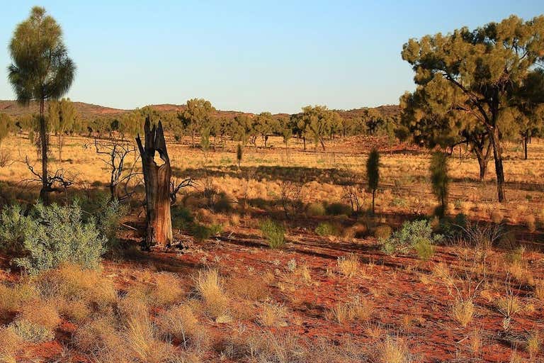 NT Portion 7723 Alice Springs NT 0870 - Image 3