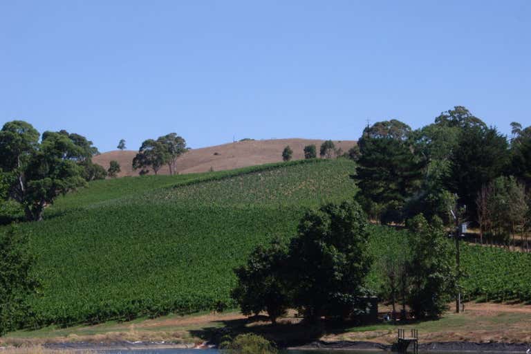 Gumeracha Vineyards, Adelaide to Mannum Road Gumeracha SA 5233 - Image 3
