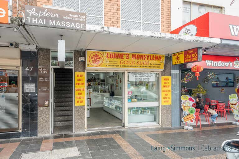 45 Arthur Street Cabramatta NSW 2166 - Image 2