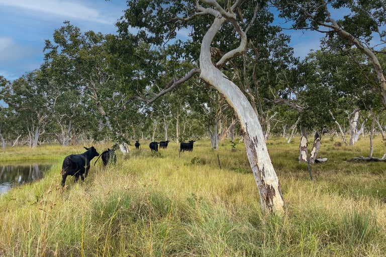 Lot 98 Wooroora Road, Ravenshoe, QLD 4888 Commercial Farming & Rural