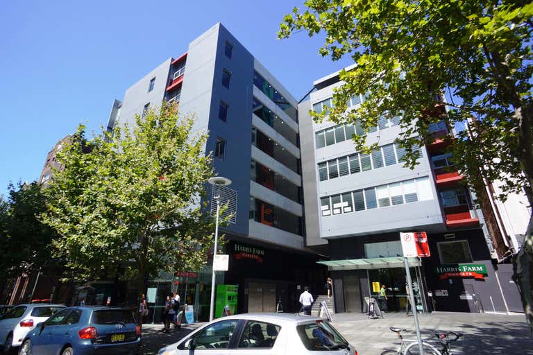 Suite 101, 24 Springfield Avenue Potts Point NSW 2011 - Image 1