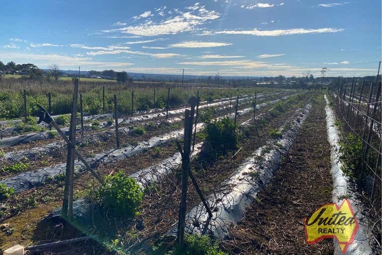Market Gardeners - 12 Hectares - Primary Production - Image 4
