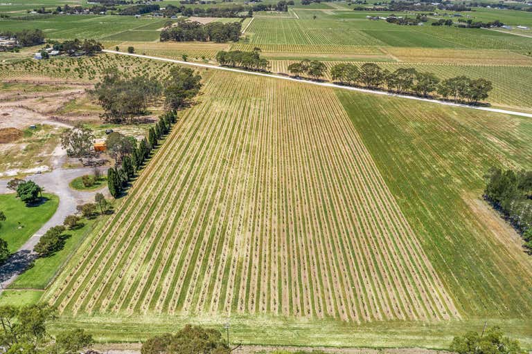 2960 Barossa Valley Way + Siegersdorf & Light Pass Road, Tanunda, SA