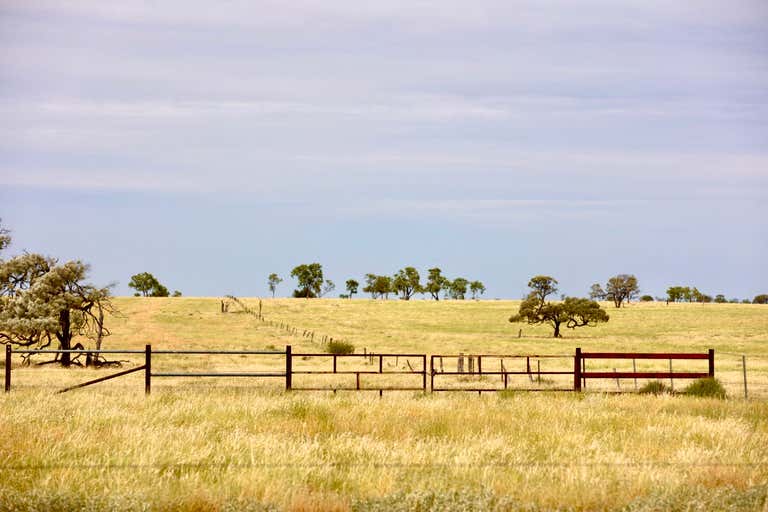 'Old Euston', 2308 Morella-Silsoe Rd. Longreach QLD 4730 - Image 1