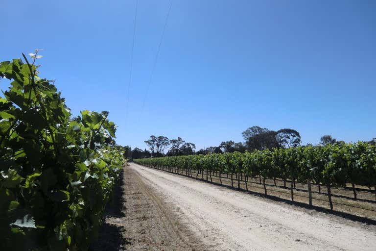 Sold Commercial Farming & Rural Property at Menge Road, Tanunda, SA 5352