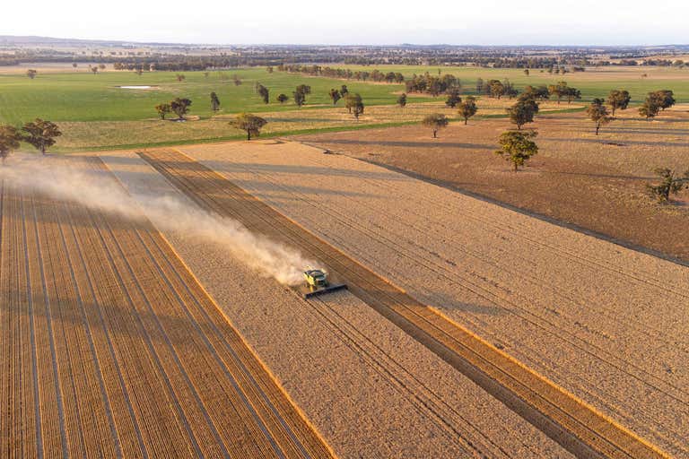 Eurongilly NSW 2663 - Image 4