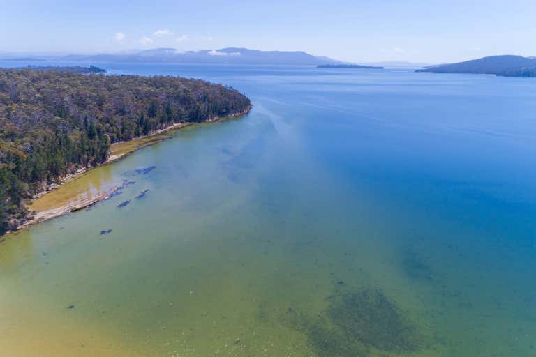 Blue Heron Oyster Farm, 59/00 Sharps Road South Bruny TAS 7150 - Image 1