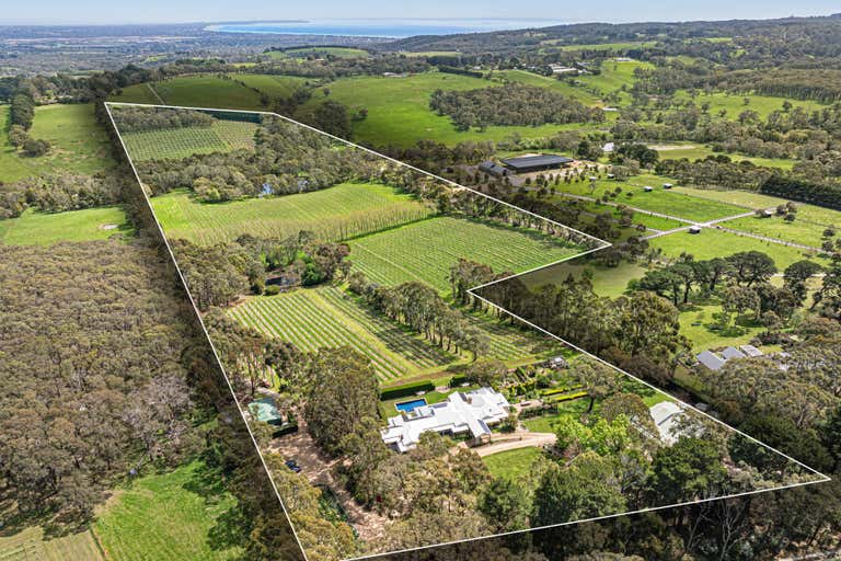 ‘Judd Vineyard’, 23 Bright Lane Main Ridge VIC 3928 - Image 1