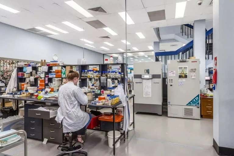 16 Mars Road Lane Cove NSW 2066 - Image 3