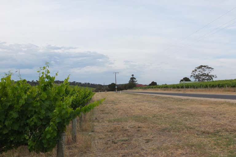 Rayner Vineyard, Chalk Hill Road & Twenty Eight Road McLaren Vale SA 5171 - Image 4