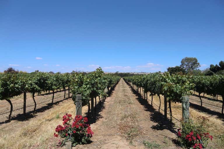 Sold Commercial Farming & Rural Property at Menge Road, Tanunda, SA 5352