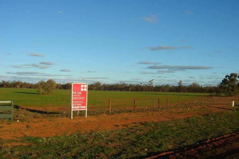 Lot 1 Lachlan River Road Hillston NSW 2675 - Image 2