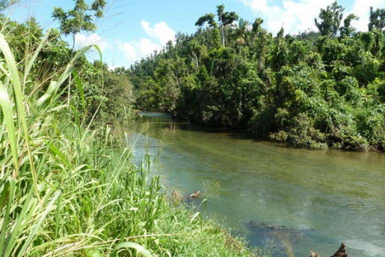 Farm No. 15, Silkwood-Japoon Road Japoonvale QLD 4856 - Image 3