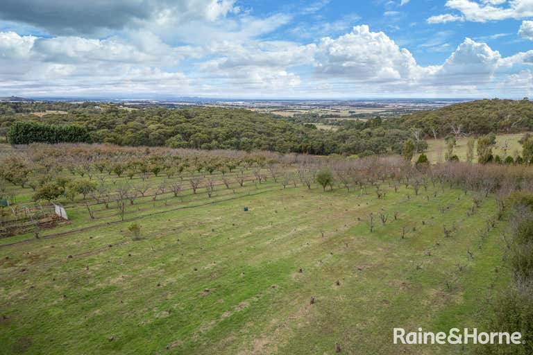 299 Couangalt Road Gisborne South VIC 3437 - Image 4