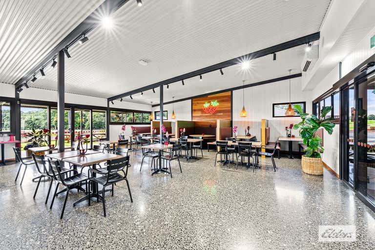 Shaylee Strawberry Farm, 255 Marks Lane, Atherton, QLD 4883 Other