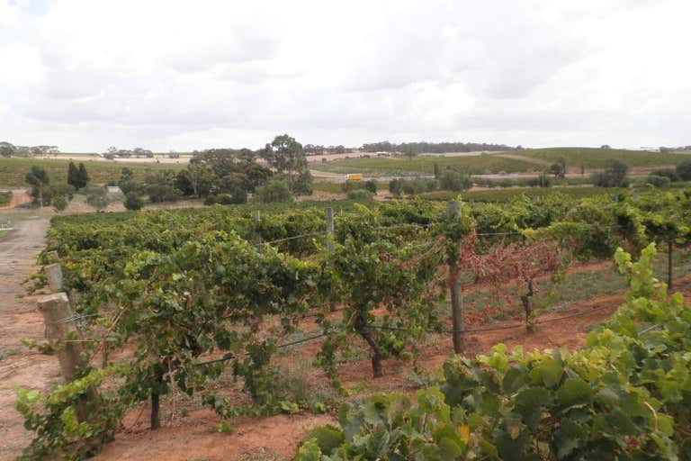 Main North Road Watervale SA 5452 - Image 4