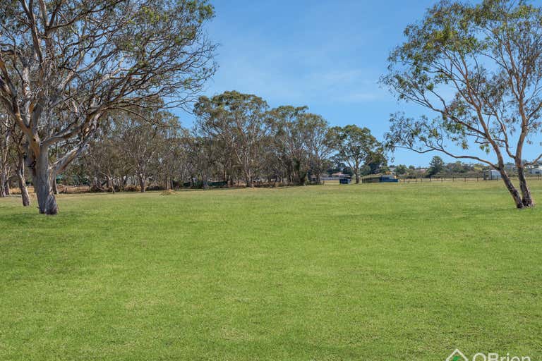 41 Tootal Road Dingley Village VIC 3172 - Image 4