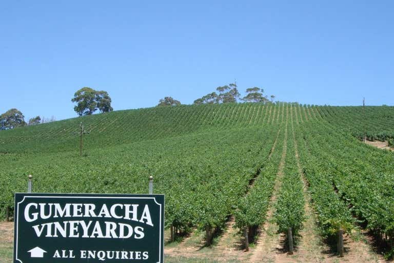 Gumeracha Vineyards, Adelaide to Mannum Road Gumeracha SA 5233 - Image 1