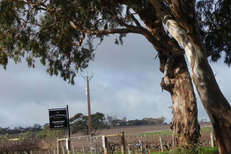 Crowhurst Vineyard, Lot 724 Victor Road Greenock SA 5360 - Image 3