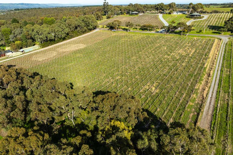 Blewitt Springs Vineyard, 167 Whitings Road McLaren Flat SA 5171 - Image 3