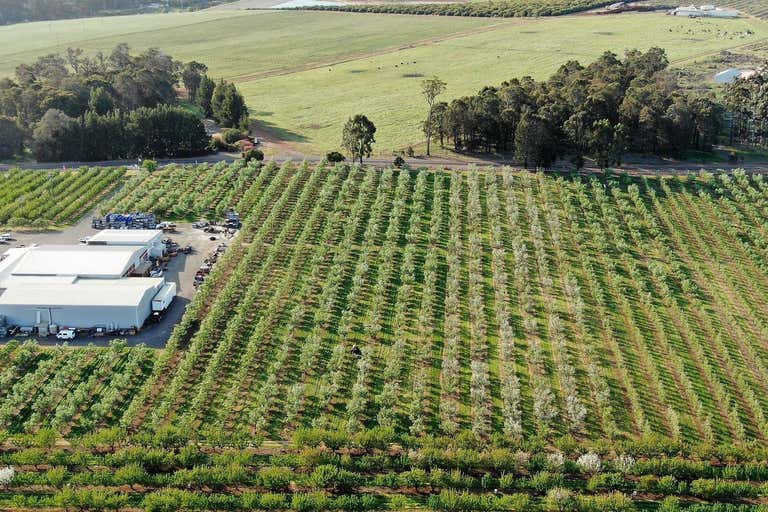 Guadagnino Orchards, 595 Seven Day Road, Manjimup, WA 6258 Commercial