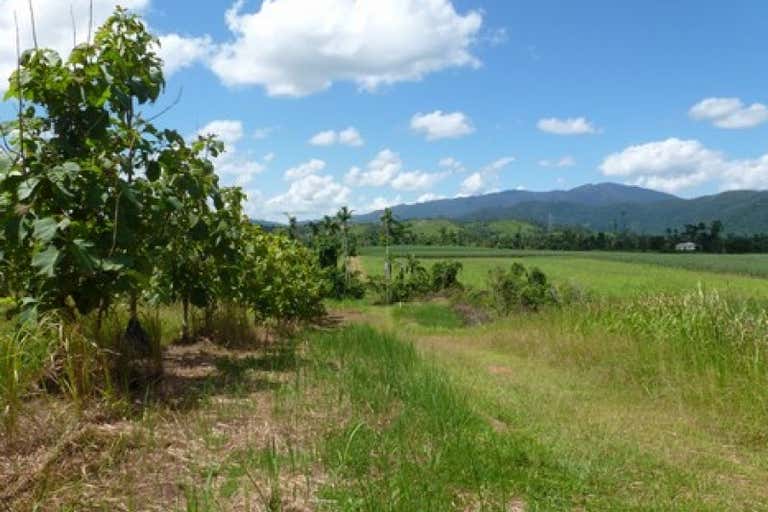 Farm No. 16, Silkwood-Japoon Rd & Gullota Rd Japoonvale QLD 4856 - Image 2