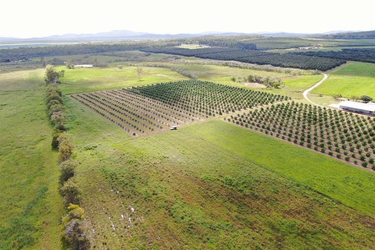 Arriga QLD 4880 - Image 4