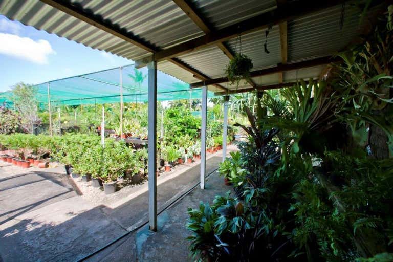 Tropical Paradise Nursery , 67 Bells Road Woongarra QLD 4670 - Image 4