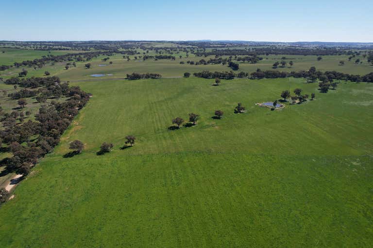 1482 Back Creek Road Young NSW 2594 - Image 3