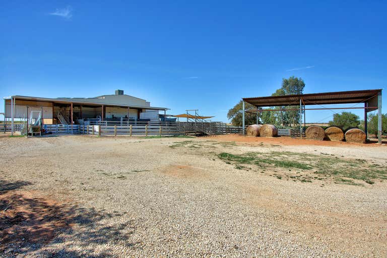 134 Bullwinkle Road Loxton SA 5333 - Image 2