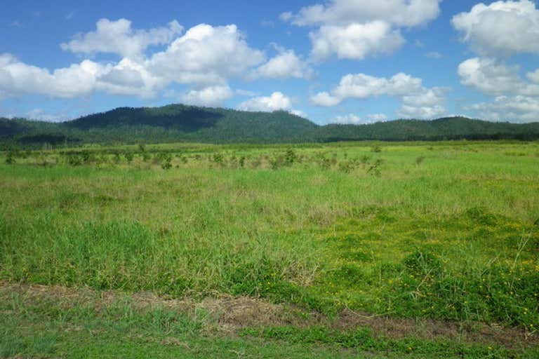 Farm No. 8, Warrubullen Road Warrubullen QLD 4871 - Image 2