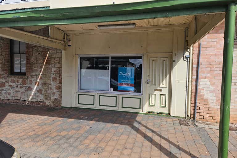 61 George Street Moonta SA 5558 - Image 1