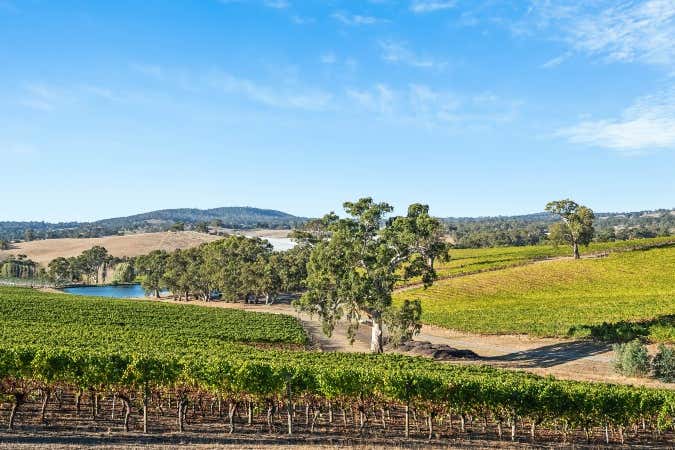 Charleston Vineyard, 160 Newman Road Charleston SA 5244 - Image 1