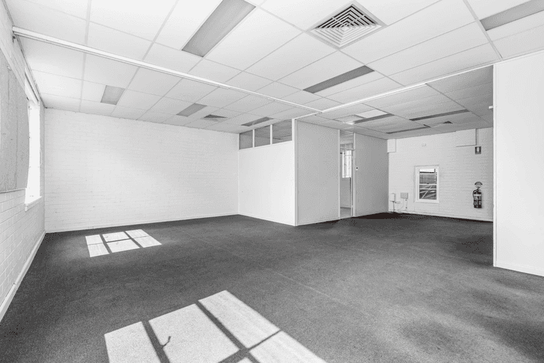 21 McCauley Street Alexandria NSW 2015 - Image 4