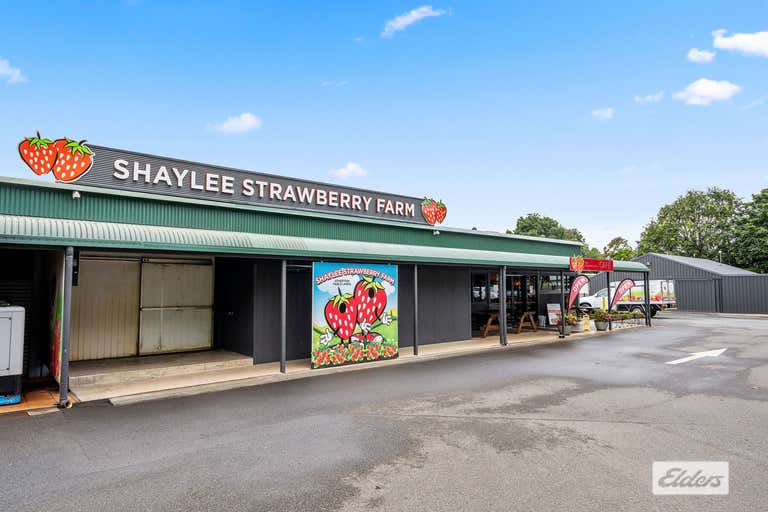 Shaylee Strawberry Farm, 255 Marks Lane Atherton QLD 4883 - Image 1
