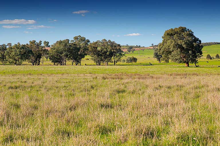 Lot 25 Thurgoona Drive Thurgoona NSW 2640 - Image 4