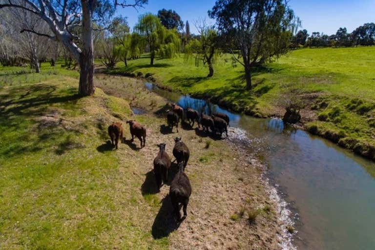 Bowna Road Mullengandra NSW 2644 - Image 1