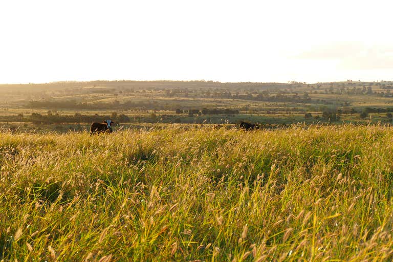 Moorabinda, 1859 Greens Road Taroom QLD 4420 - Image 3