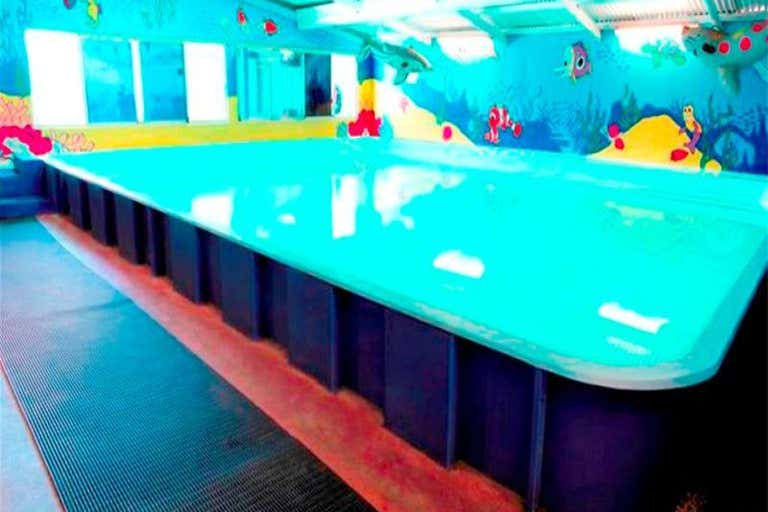 Myswim Swim School - HUGE PRICE REDUCTION - Image 3